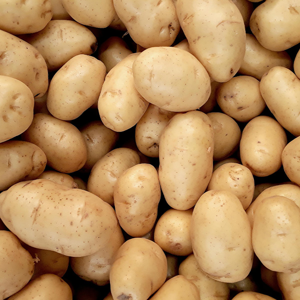 Dry Fruits